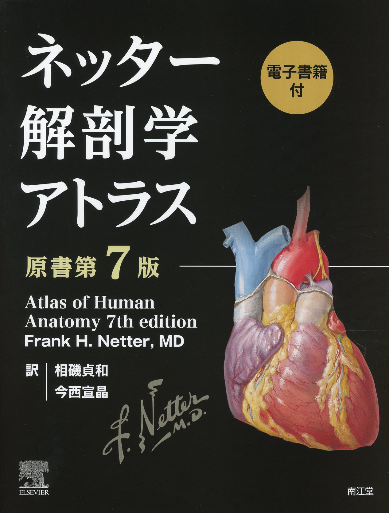 最新エルメス ネッター解剖学アトラス[電子書籍付](原書第7版) 健康 