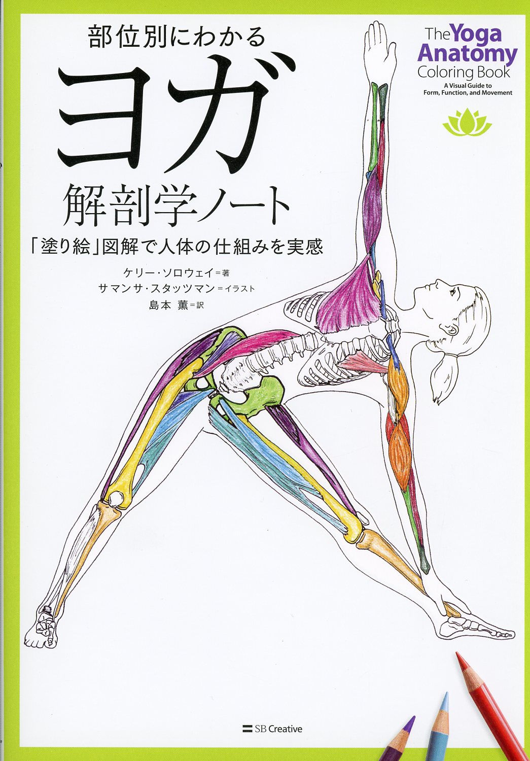 ヨーガのための解剖学 anatomy for yoga - ヨガ