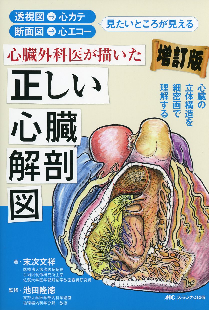 心臓血管外科手術のための解剖学 - 健康/医学