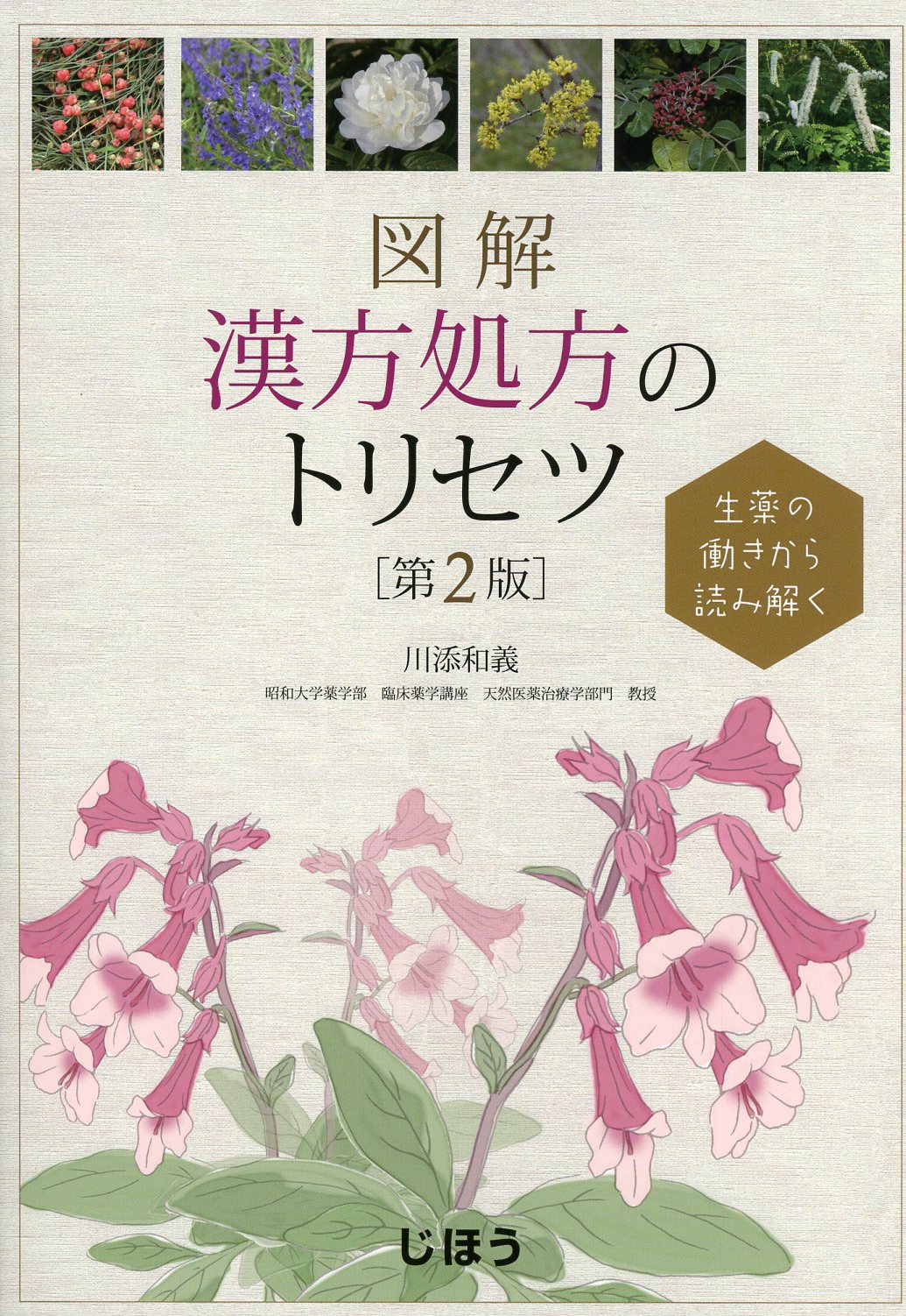 生薬の働きから読み解く　図解　漢方処方のトリセツ　第2版