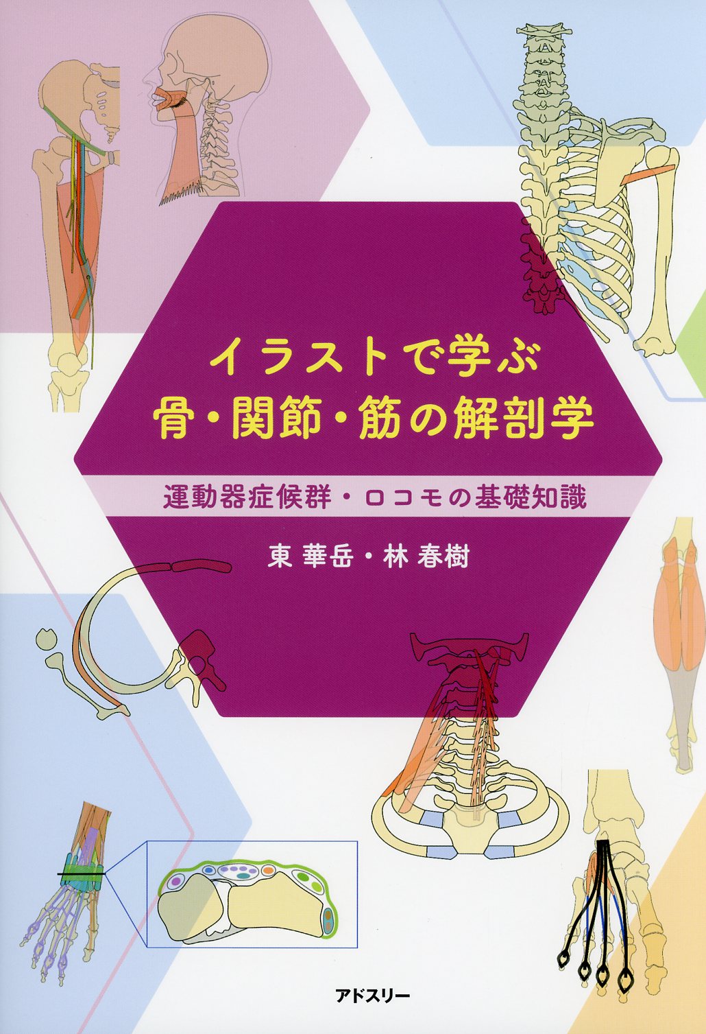 運動器症候群・ロコモの基礎知識　イラストで学ぶ骨・関節・筋の解剖学　高陽堂書店