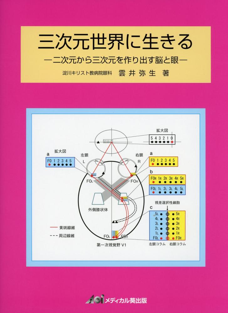 三次元世界に生きる 二次元から三次元を作り出す脳と眼 高陽堂書店