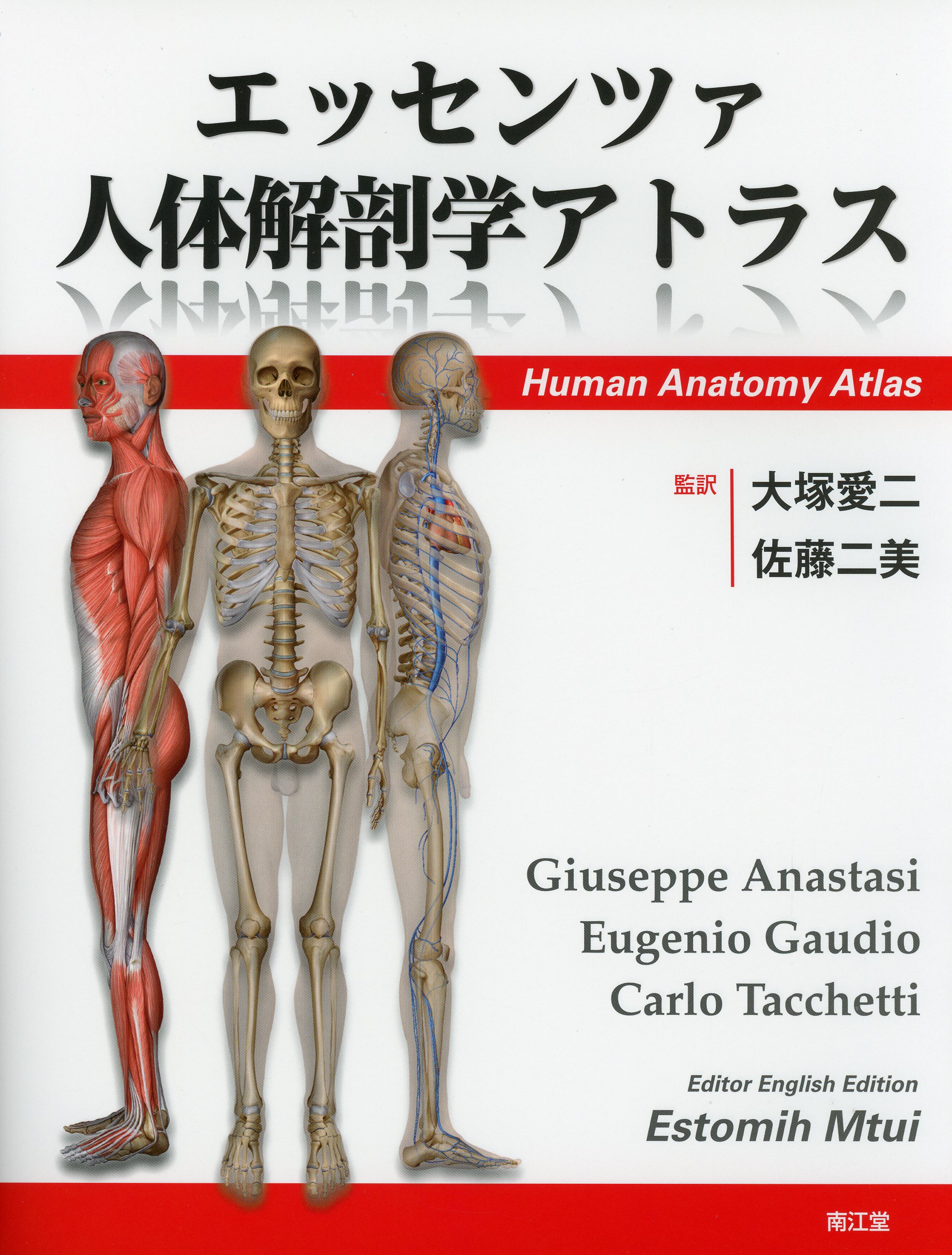 エッセンツァ人体解剖学アトラス / 高陽堂書店