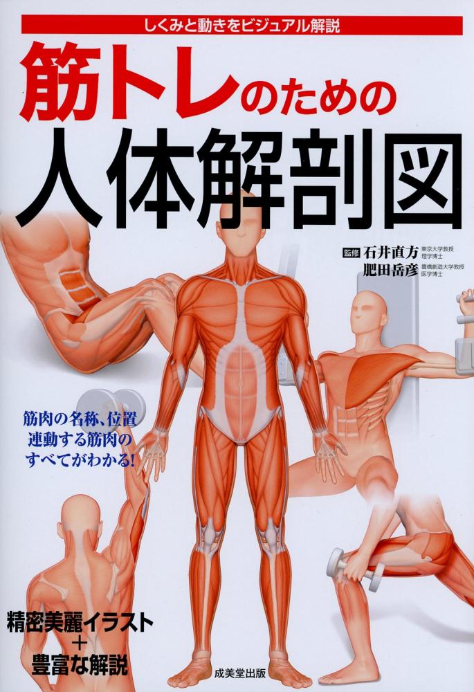 筋トレのための人体解剖図 高陽堂書店