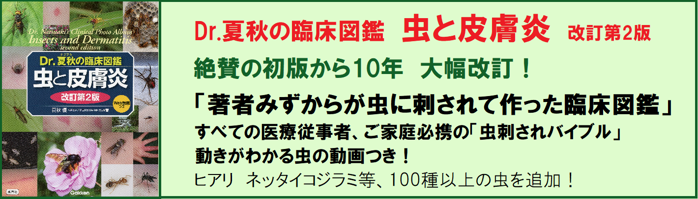スライダー画像1